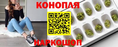 a pvp Будённовск